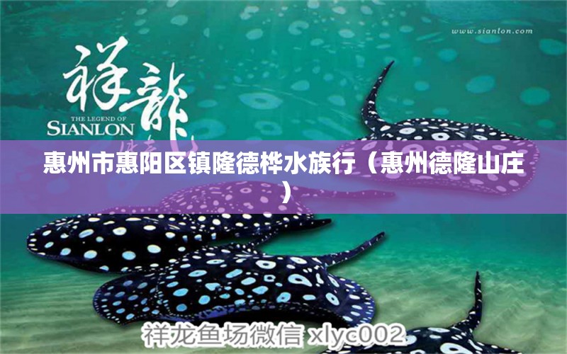 惠州市惠阳区镇隆德桦水族行（惠州德隆山庄）