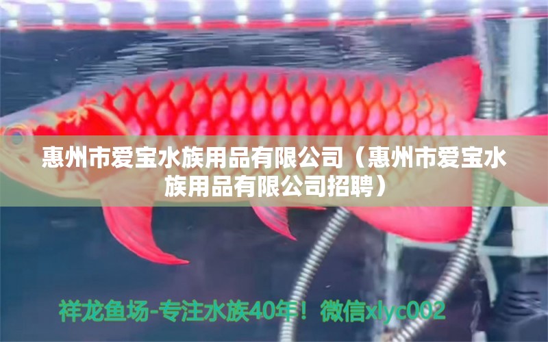 惠州市爱宝水族用品有限公司（惠州市爱宝水族用品有限公司招聘）