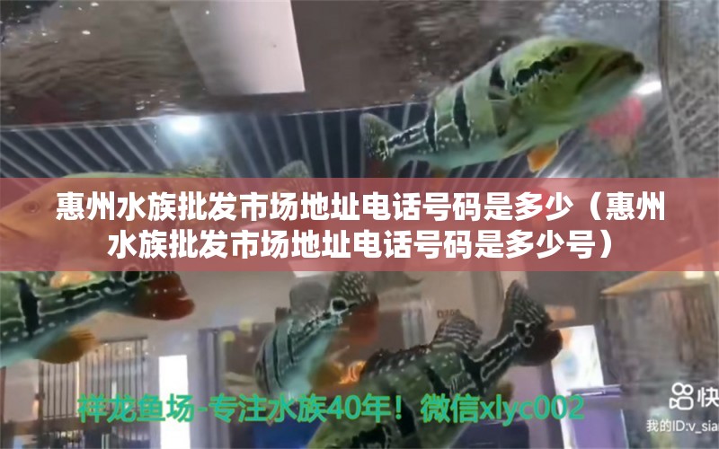 惠州水族批发市场地址电话号码是多少（惠州水族批发市场地址电话号码是多少号）