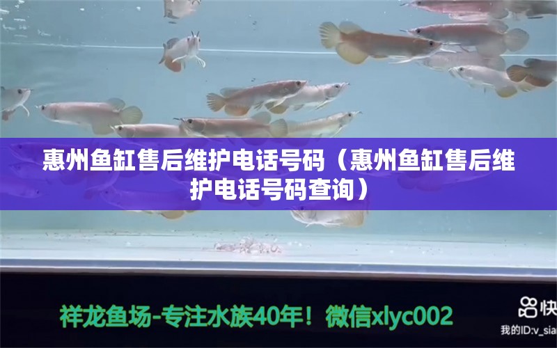 惠州鱼缸售后维护电话号码（惠州鱼缸售后维护电话号码查询）