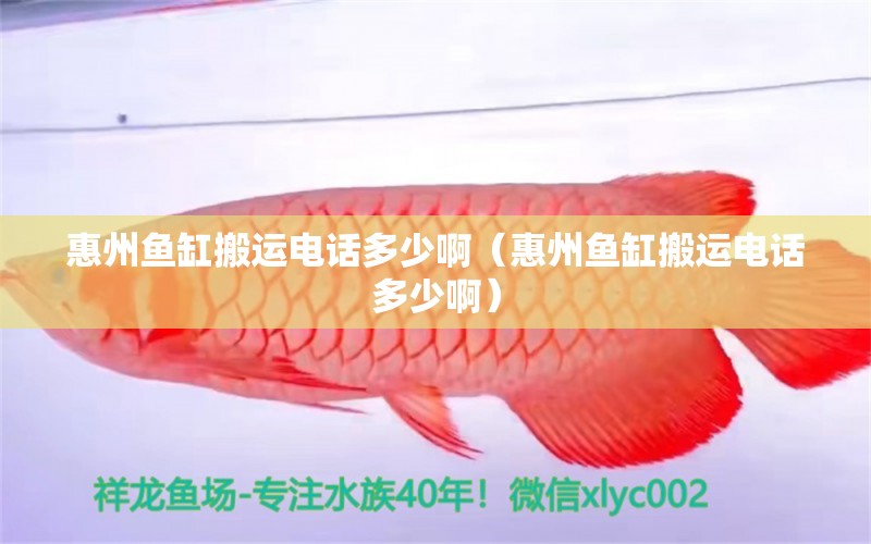 惠州鱼缸搬运电话多少啊（惠州鱼缸搬运电话多少啊） 祥龙水族医院