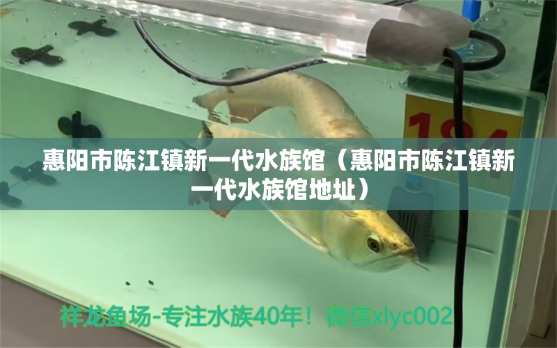 惠阳市陈江镇新一代水族馆（惠阳市陈江镇新一代水族馆地址）