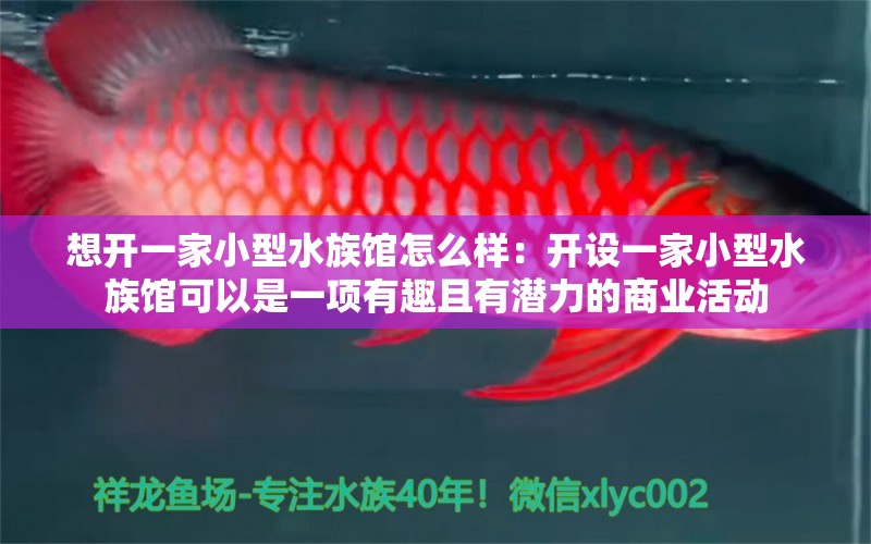 想开一家小型水族馆怎么样：开设一家小型水族馆可以是一项有趣且有潜力的商业活动 水族馆百科（水族馆加盟） 第1张