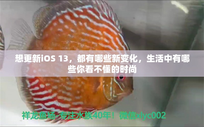 想更新iOS 13，都有哪些新变化，生活中有哪些你看不懂的时尚