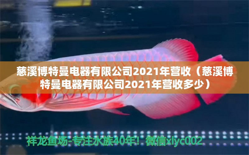 慈溪博特曼电器有限公司2021年营收（慈溪博特曼电器有限公司2021年营收多少）