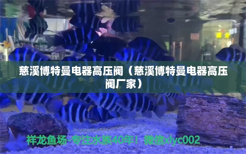 慈溪博特曼电器高压阀（慈溪博特曼电器高压阀厂家）