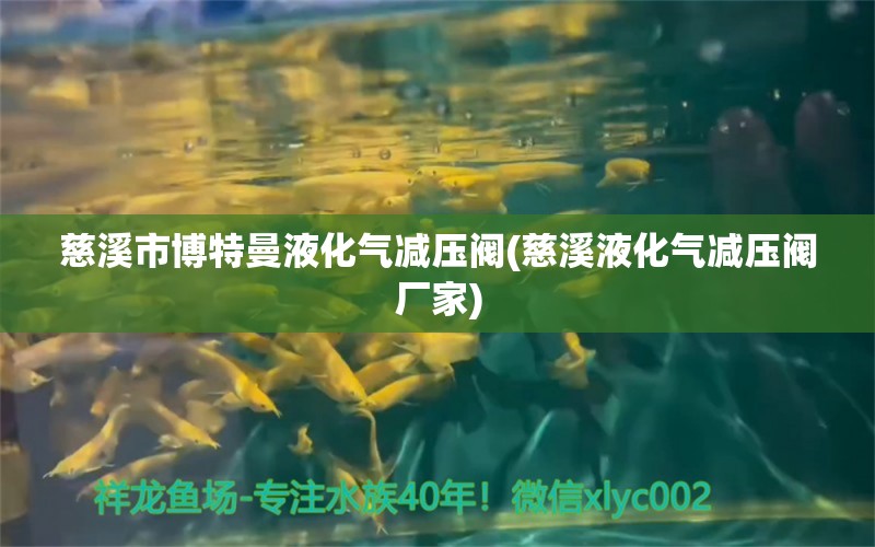 慈溪市博特曼液化气减压阀(慈溪液化气减压阀厂家)