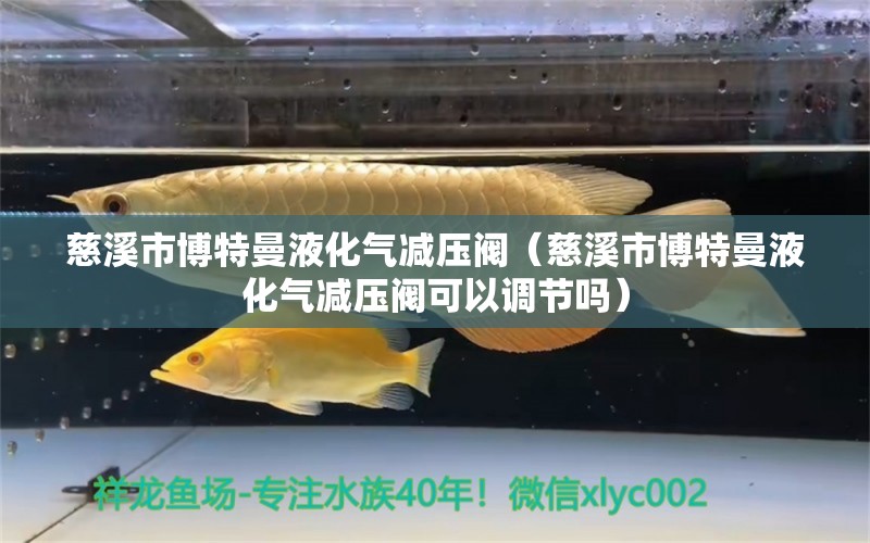 慈溪市博特曼液化气减压阀（慈溪市博特曼液化气减压阀可以调节吗）