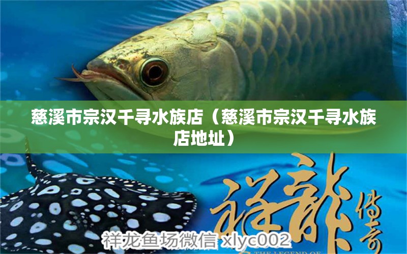 慈溪市宗汉千寻水族店（慈溪市宗汉千寻水族店地址） 全国水族馆企业名录