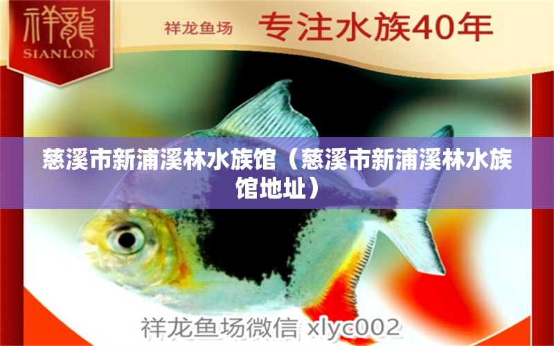 慈溪市新浦溪林水族馆（慈溪市新浦溪林水族馆地址）