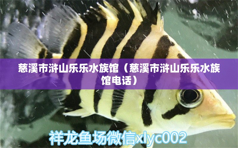 慈溪市浒山乐乐水族馆（慈溪市浒山乐乐水族馆电话） 全国水族馆企业名录