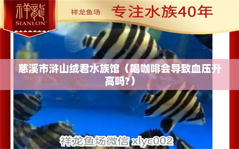 慈溪市浒山绒君水族馆（喝咖啡会导致血压升高吗?） 马来西亚咖啡