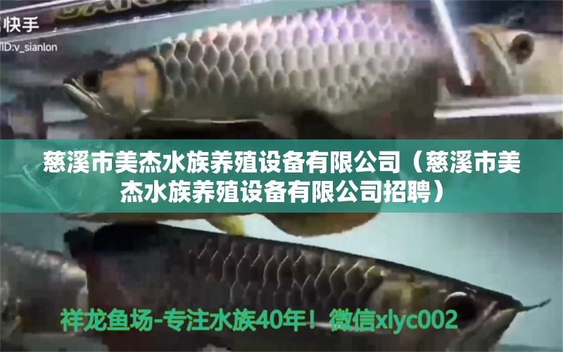 慈溪市美杰水族养殖设备有限公司（慈溪市美杰水族养殖设备有限公司招聘） 全国水族馆企业名录