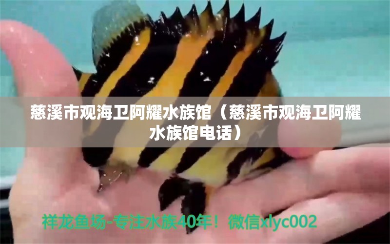 慈溪市观海卫阿耀水族馆（慈溪市观海卫阿耀水族馆电话） 全国水族馆企业名录