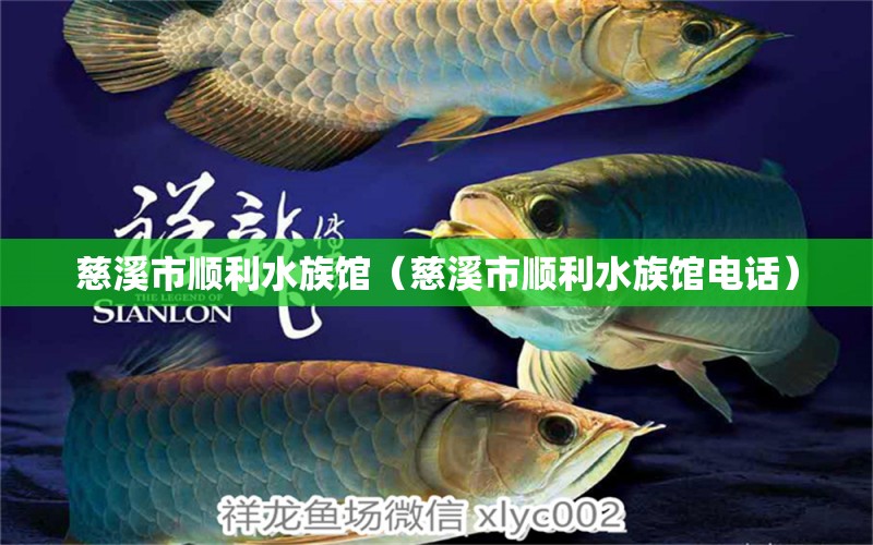 慈溪市顺利水族馆（慈溪市顺利水族馆电话）