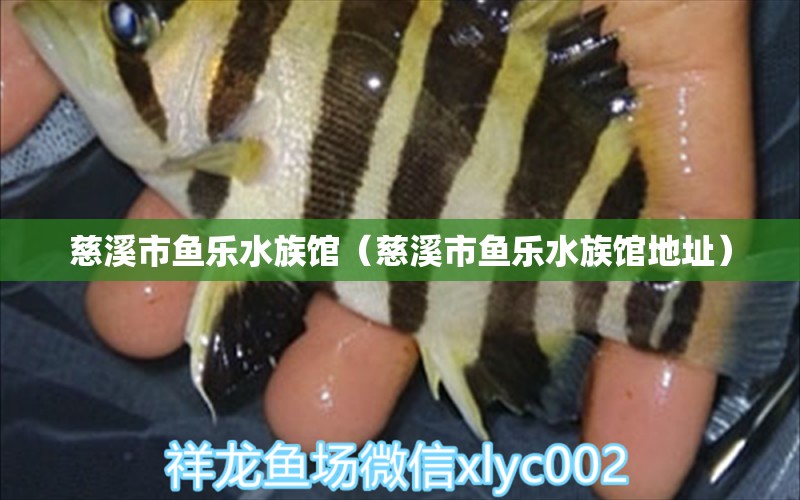 慈溪市鱼乐水族馆（慈溪市鱼乐水族馆地址）