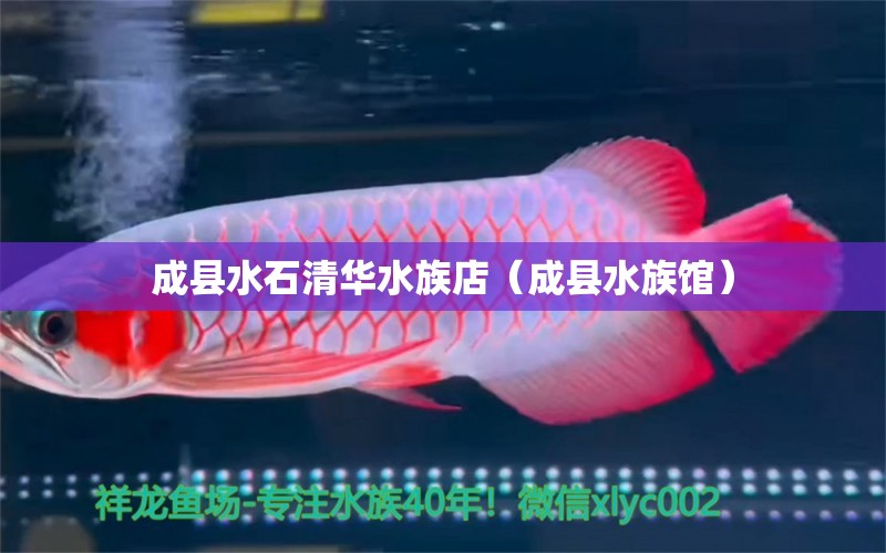 成县水石清华水族店（成县水族馆） 全国水族馆企业名录