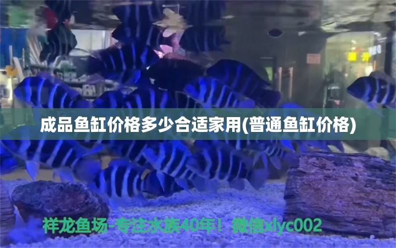 成品鱼缸价格多少合适家用(普通鱼缸价格) 非洲金鼓鱼