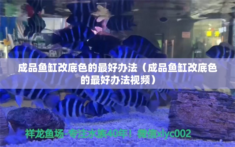 成品鱼缸改底色的最好办法（成品鱼缸改底色的最好办法视频）