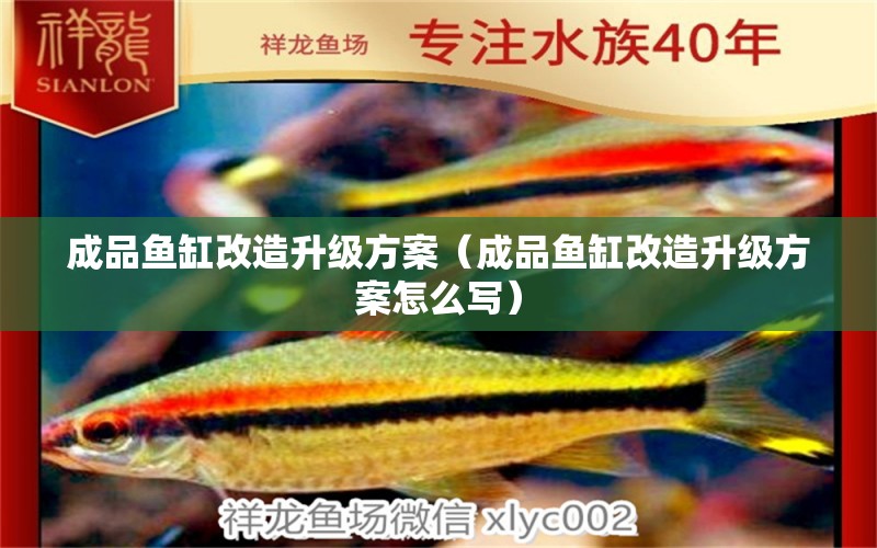 成品鱼缸改造升级方案（成品鱼缸改造升级方案怎么写）