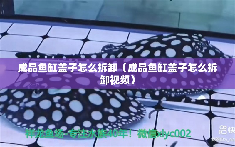 成品鱼缸盖子怎么拆卸（成品鱼缸盖子怎么拆卸视频） 祥龙水族医院