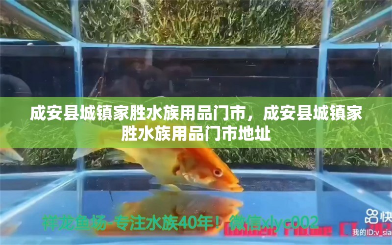 成安县城镇家胜水族用品门市，成安县城镇家胜水族用品门市地址 水族用品 第1张