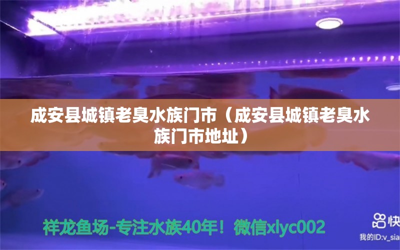 成安县城镇老臭水族门市（成安县城镇老臭水族门市地址） 全国水族馆企业名录