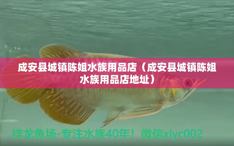 成安县城镇陈姐水族用品店（成安县城镇陈姐水族用品店地址）