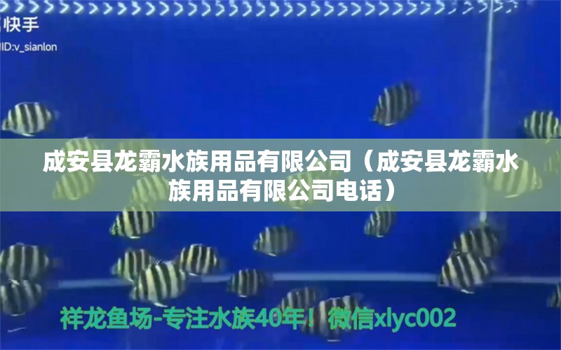 成安县龙霸水族用品有限公司（成安县龙霸水族用品有限公司电话）