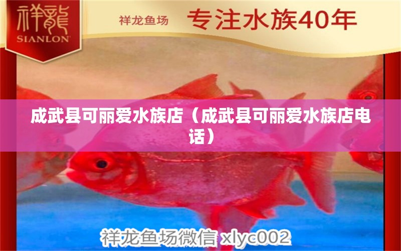 成武县可丽爱水族店（成武县可丽爱水族店电话）