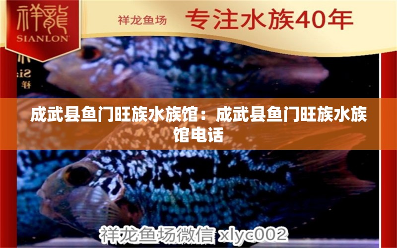 成武县鱼门旺族水族馆：成武县鱼门旺族水族馆电话 全国水族馆企业名录