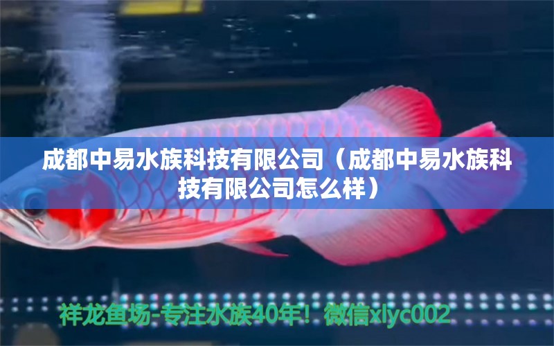 成都中易水族科技有限公司（成都中易水族科技有限公司怎么样） 全国水族馆企业名录