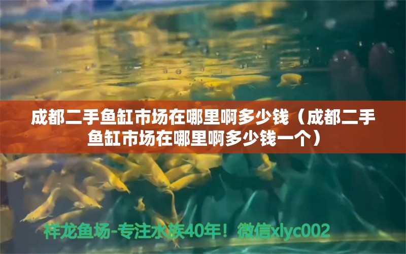 成都二手鱼缸市场在哪里啊多少钱（成都二手鱼缸市场在哪里啊多少钱一个）