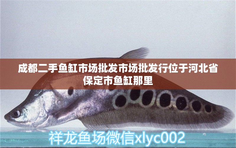 成都二手鱼缸市场批发市场批发行位于河北省保定市鱼缸那里 观赏鱼 第1张