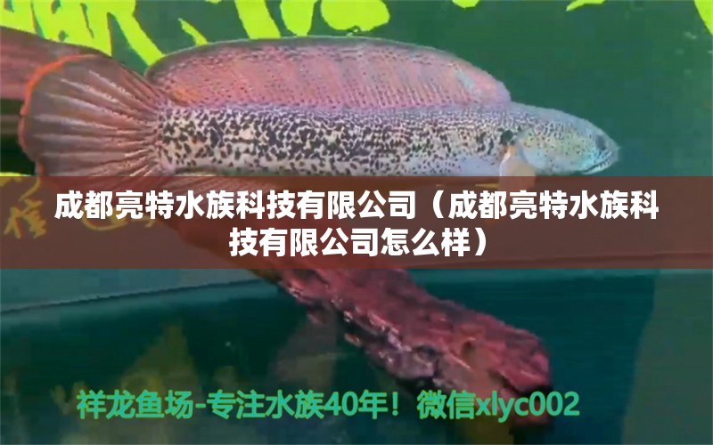 成都亮特水族科技有限公司（成都亮特水族科技有限公司怎么样）