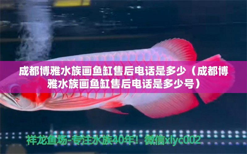 成都博雅水族画鱼缸售后电话是多少（成都博雅水族画鱼缸售后电话是多少号） 白玉红龙鱼