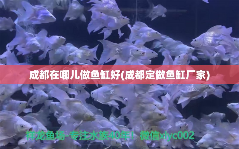 成都在哪儿做鱼缸好(成都定做鱼缸厂家) 金三间鱼