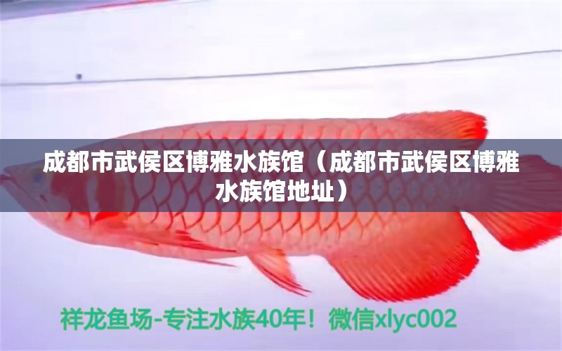 成都市武侯区博雅水族馆（成都市武侯区博雅水族馆地址）