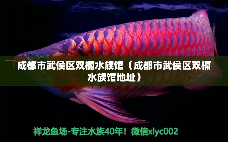 成都市武侯区双楠水族馆（成都市武侯区双楠水族馆地址）