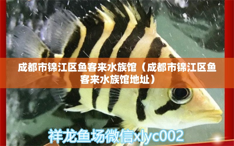 成都市锦江区鱼客来水族馆（成都市锦江区鱼客来水族馆地址） 全国水族馆企业名录