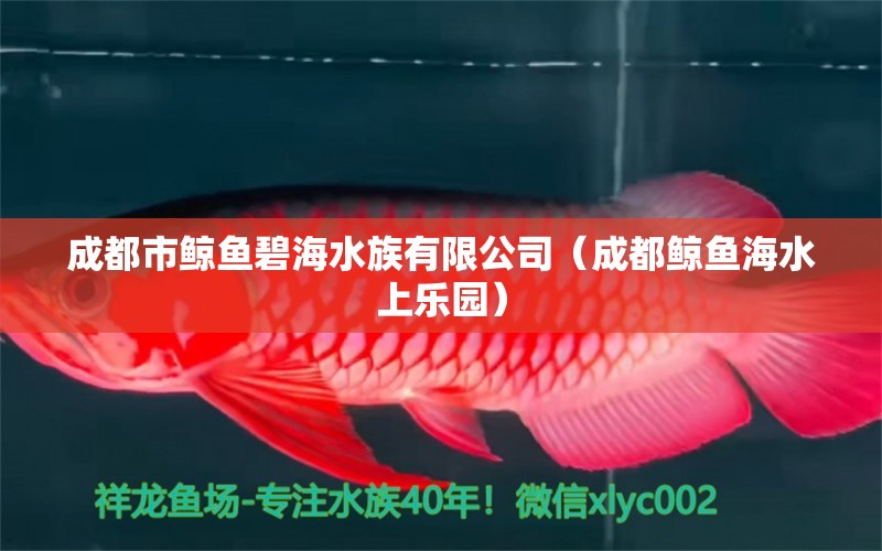 成都市鲸鱼碧海水族有限公司（成都鲸鱼海水上乐园）