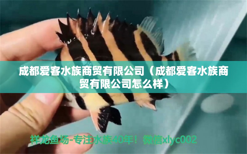 成都爱客水族商贸有限公司（成都爱客水族商贸有限公司怎么样）