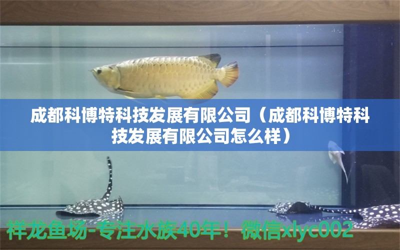 成都科博特科技发展有限公司（成都科博特科技发展有限公司怎么样）