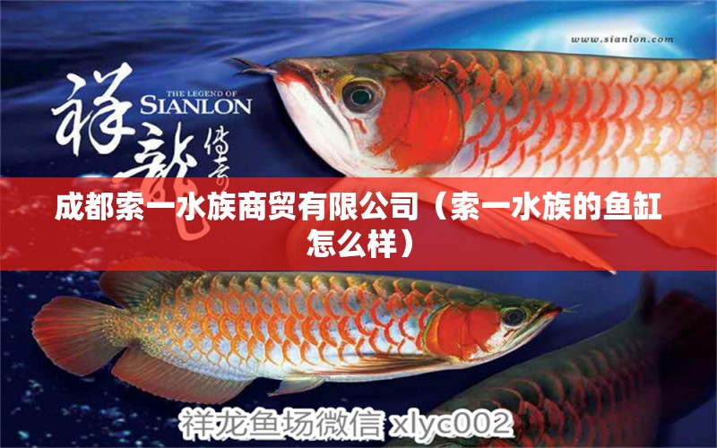 成都索一水族商贸有限公司（索一水族的鱼缸怎么样）