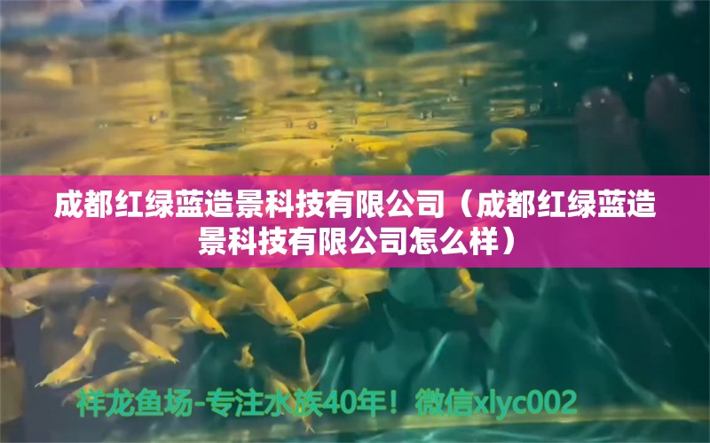 成都红绿蓝造景科技有限公司（成都红绿蓝造景科技有限公司怎么样）