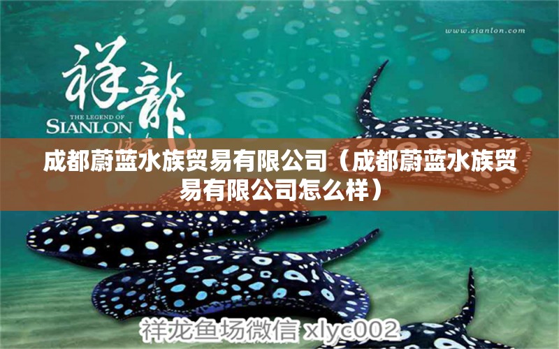 成都蔚蓝水族贸易有限公司（成都蔚蓝水族贸易有限公司怎么样）