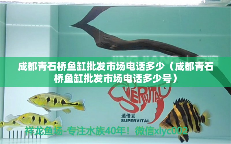 成都青石桥鱼缸批发市场电话多少（成都青石桥鱼缸批发市场电话多少号） 祥龙水族医院