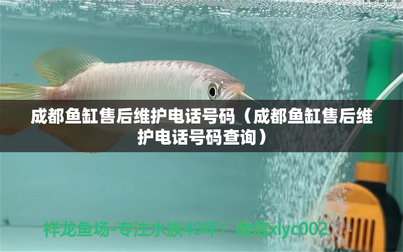 成都鱼缸售后维护电话号码（成都鱼缸售后维护电话号码查询）