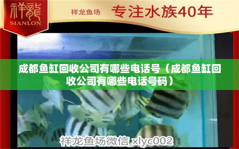 成都鱼缸回收公司有哪些电话号（成都鱼缸回收公司有哪些电话号码）