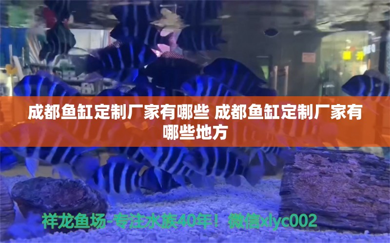 成都鱼缸定制厂家有哪些 成都鱼缸定制厂家有哪些地方 鱼缸水泵 第1张